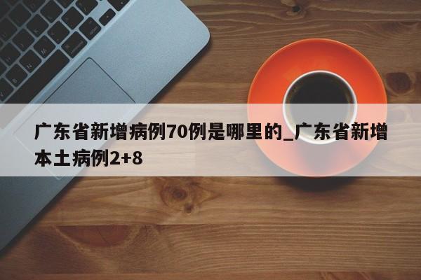广东省新增病例70例是哪里的_广东省新增本土病例2+8