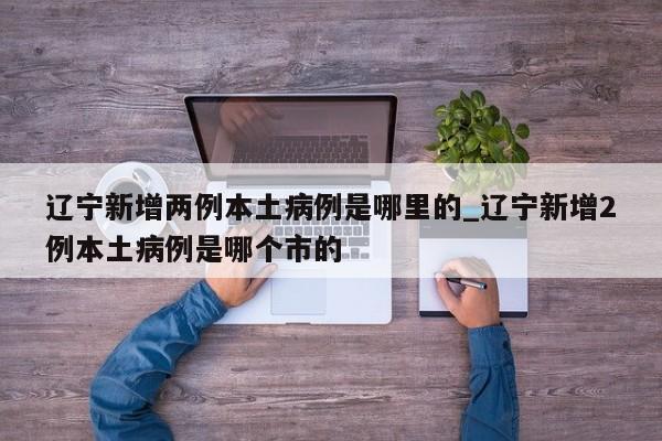 辽宁新增两例本土病例是哪里的_辽宁新增2例本土病例是哪个市的