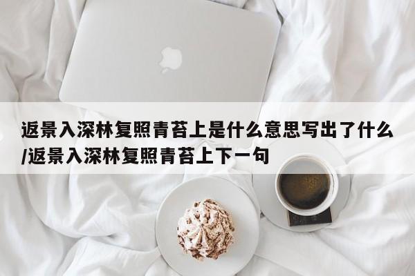 返景入深林复照青苔上是什么意思写出了什么/返景入深林复照青苔上下一句