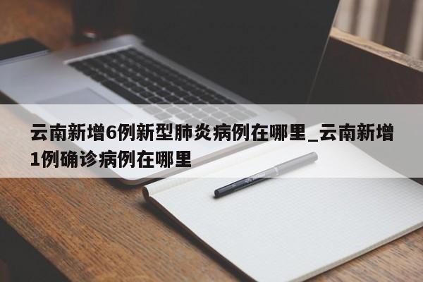 云南新增6例新型肺炎病例在哪里_云南新增1例确诊病例在哪里