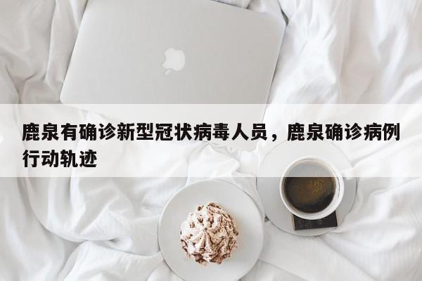 鹿泉有确诊新型冠状病毒人员，鹿泉确诊病例行动轨迹