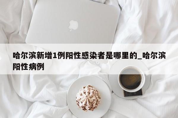 哈尔滨新增1例阳性感染者是哪里的_哈尔滨阳性病例